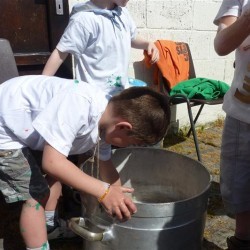 Koala 038 - Scouts en Gidsen Zaventem 